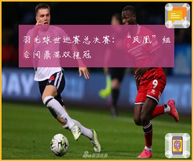 羽毛球世巡赛总决赛：“凤凰”组合问鼎混双桂冠