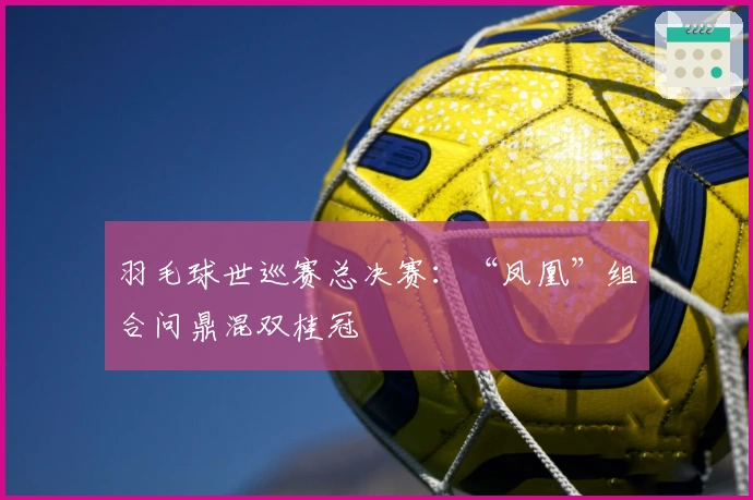 羽毛球世巡赛总决赛：“凤凰”组合问鼎混双桂冠